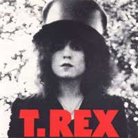 British Rock History T Rex Tyrannosaurus